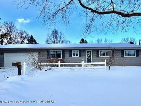 408 Lake Street, Bellevue, MI 49021