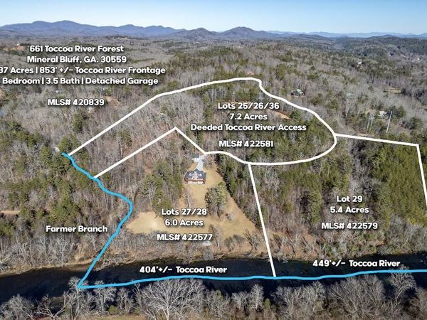 Lot 29 Toccoa River Forest, Mineral Bluff, GA 30559