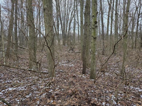 V/L Bronson Avenue, Plainwell, MI 49080