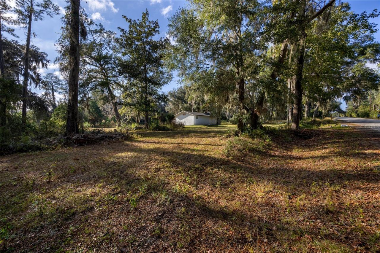 560 NW 39th Road, Gainesville, FL 32607 Photo