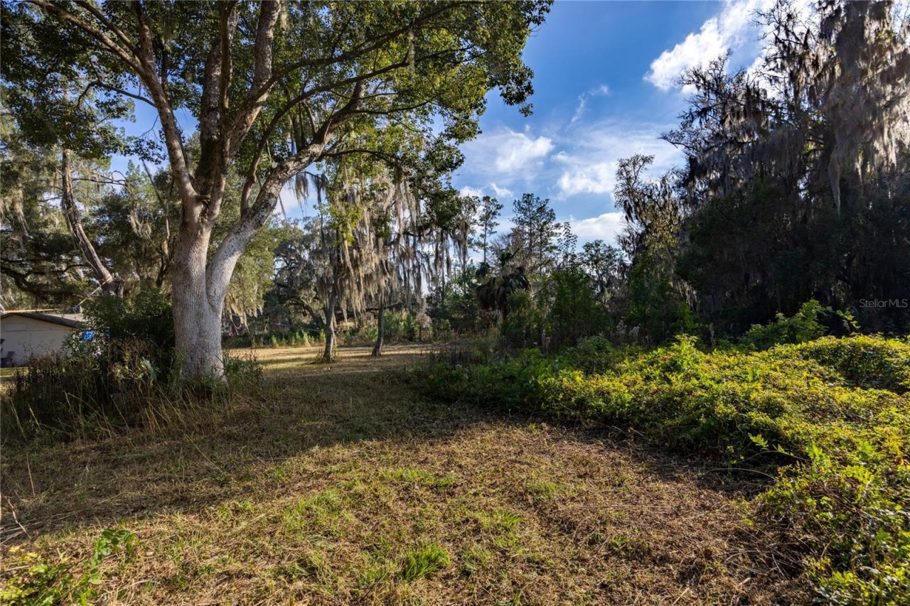 560 NW 39th Road, Gainesville, FL 32607 Photo