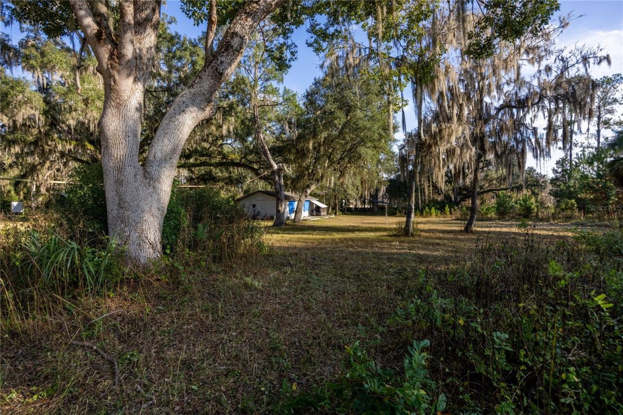 560 NW 39th Road, Gainesville, FL 32607 Photo