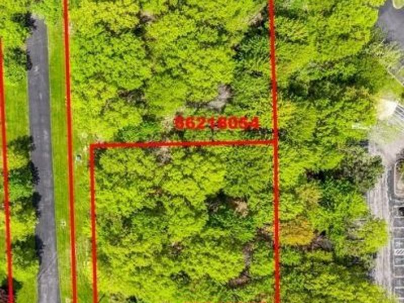 Daisy Boulevard, Independence, OH 44131 Photo 5