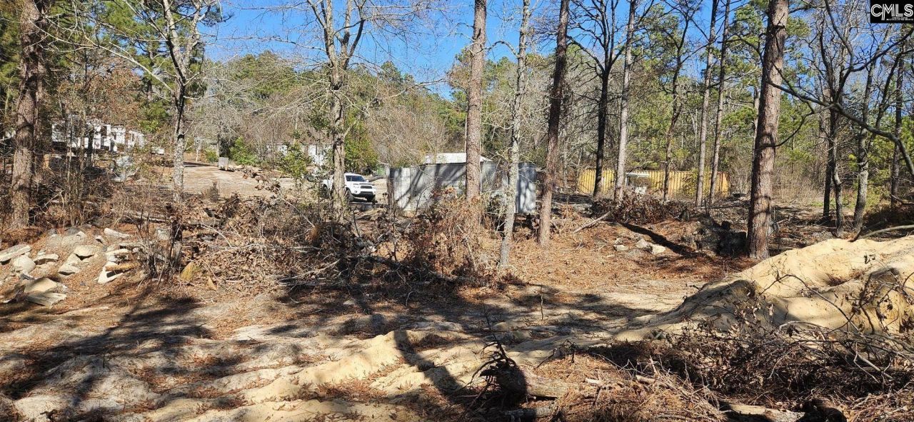 257 Irvin Jumper Road Photo 4