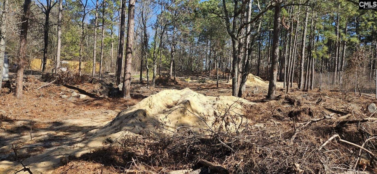 257 Irvin Jumper Road Photo 5