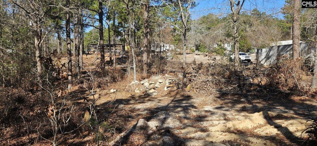 257 Irvin Jumper Road Photo 6