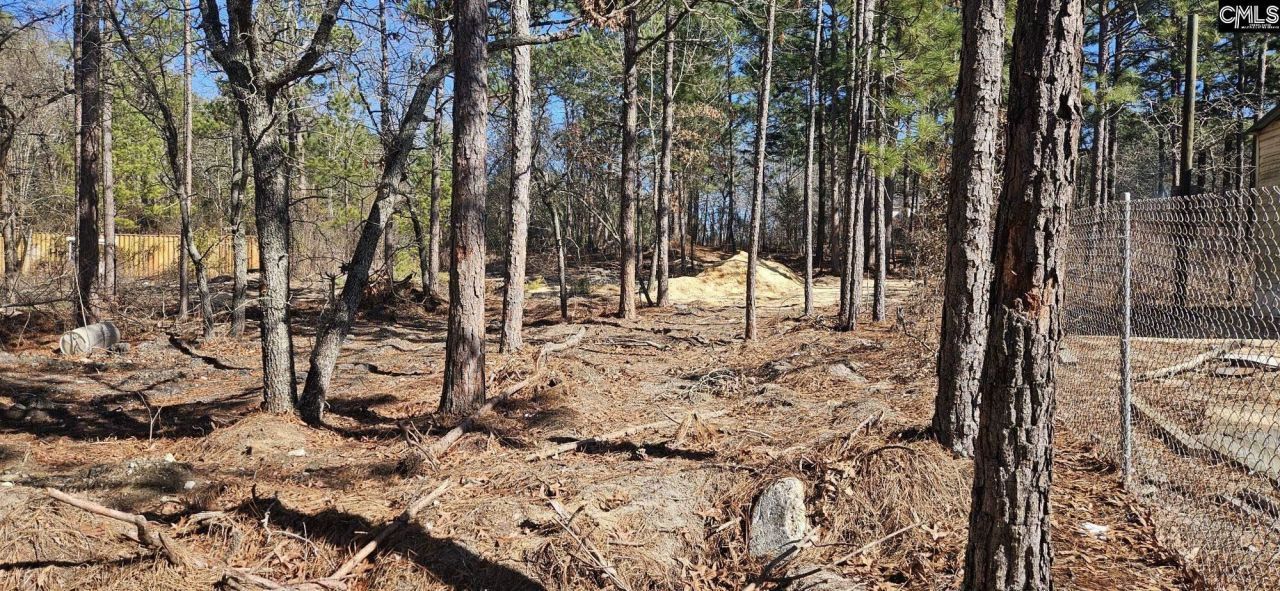 257 Irvin Jumper Road Photo 7