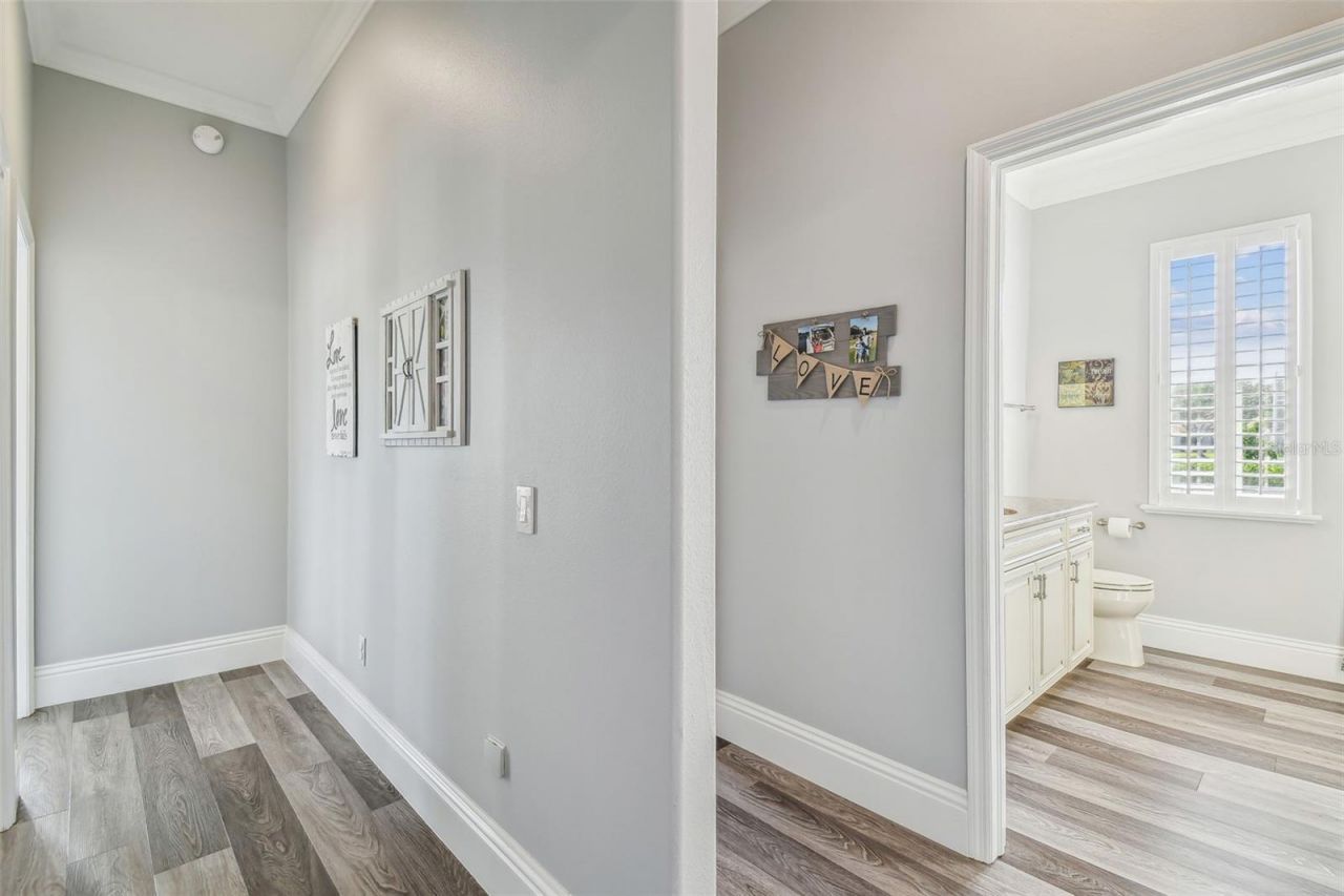 9105 Woodridge Run Drive, Tampa, FL 33647 Photo