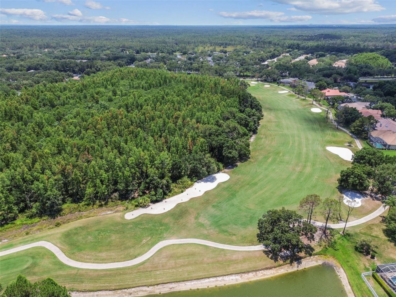 9105 Woodridge Run Drive, Tampa, FL 33647 Photo