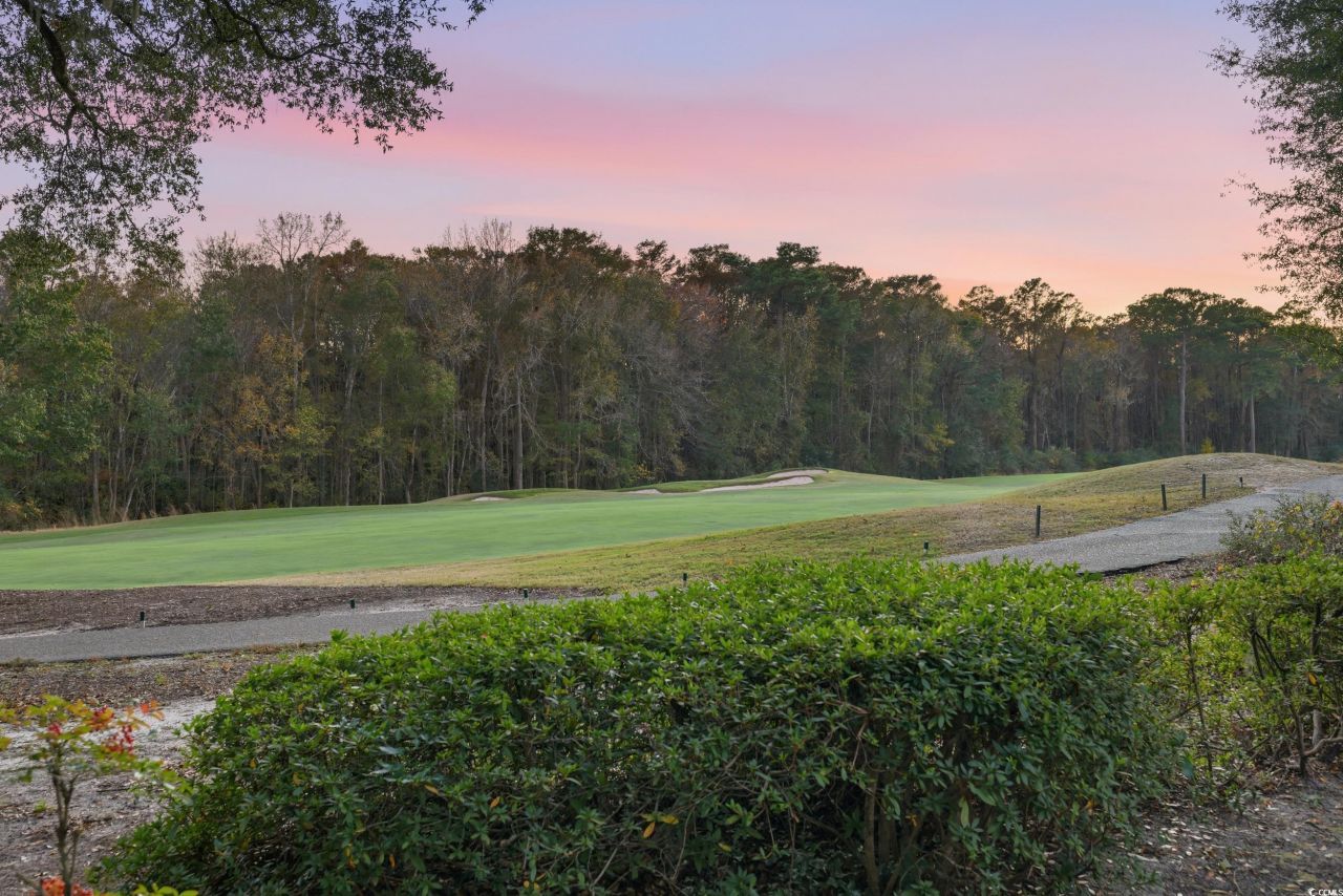 973 Doral Dr. Photo 39