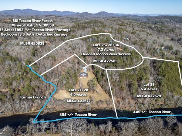 LOT 29 Toccoa River Forest, Mineral Bluff, GA 30559