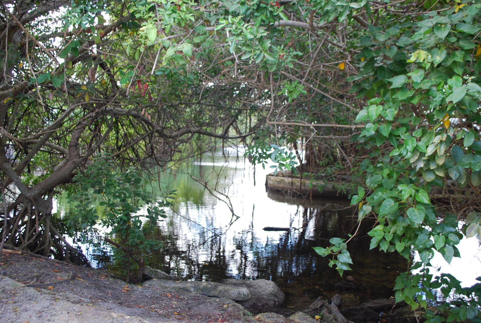 19232 NE 25th Avenue, Unit 221b, Miami, FL 33180 Photo