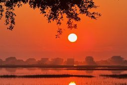 4999 Highway 17 Business photo 4