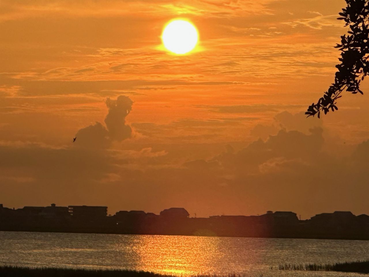 4999 Highway 17 Business Photo 41