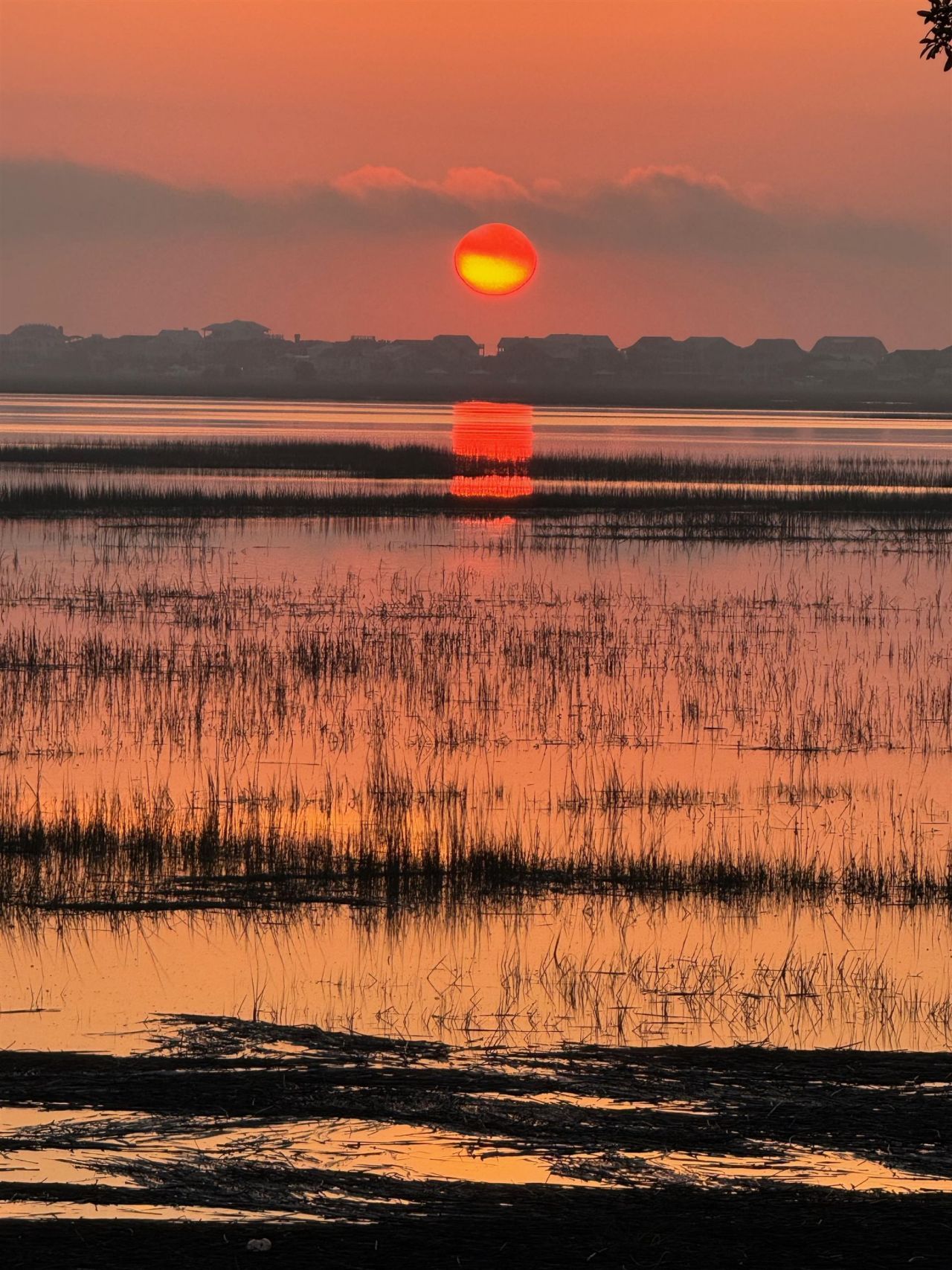 4999 Highway 17 Business Photo 46