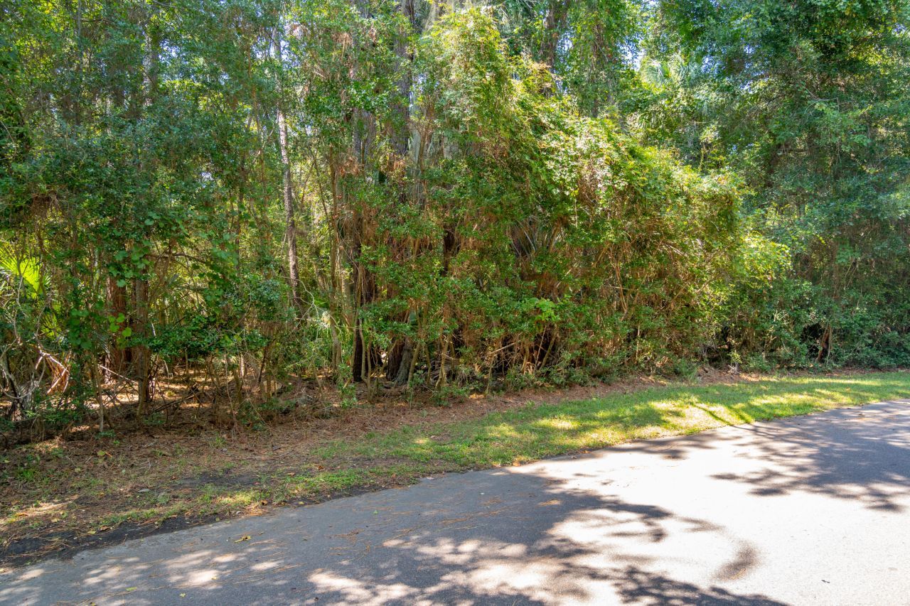 2160 Royal Pine Drive Photo 10