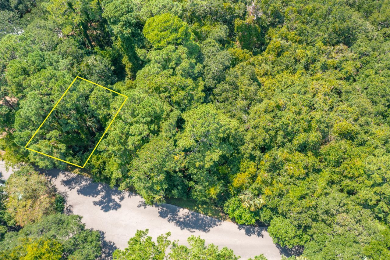 2160 Royal Pine Drive Photo 2