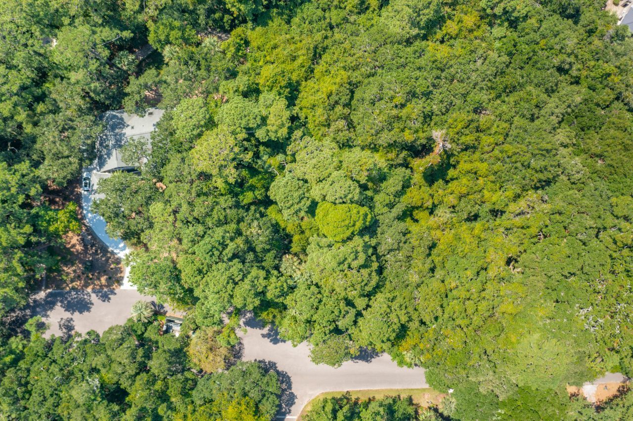 2160 Royal Pine Drive Photo 4