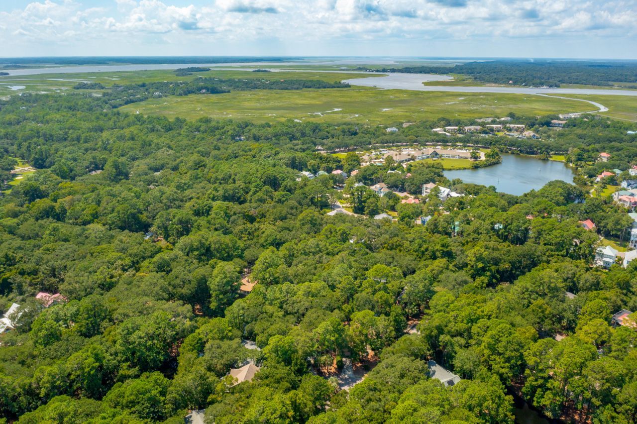 2160 Royal Pine Drive Photo 6