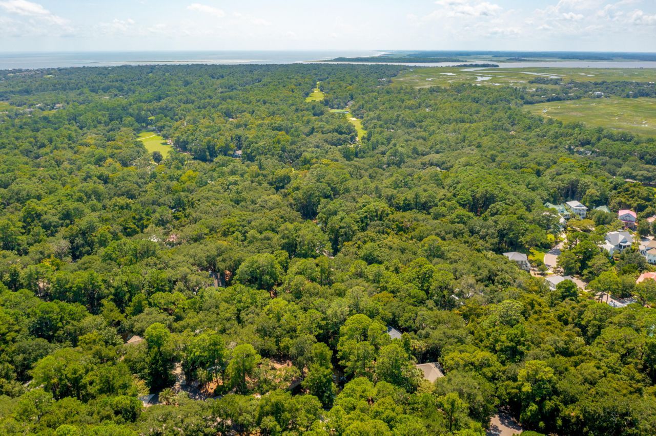 2160 Royal Pine Drive Photo 7