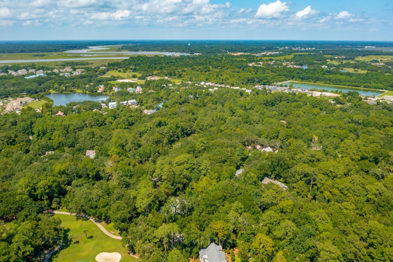 2160 Royal Pine Drive Photo 9