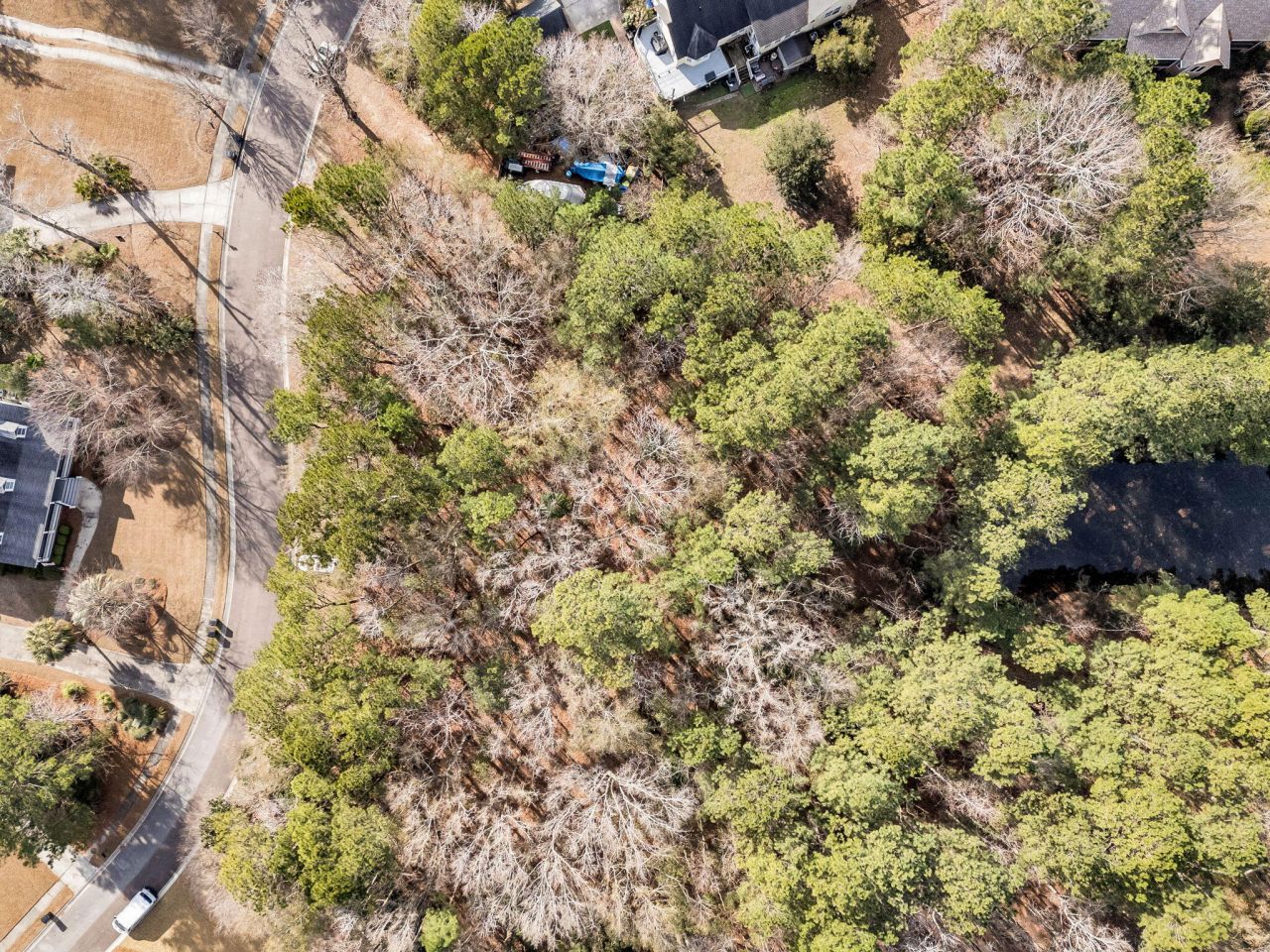 3786 Saint Ellens Drive Photo 11