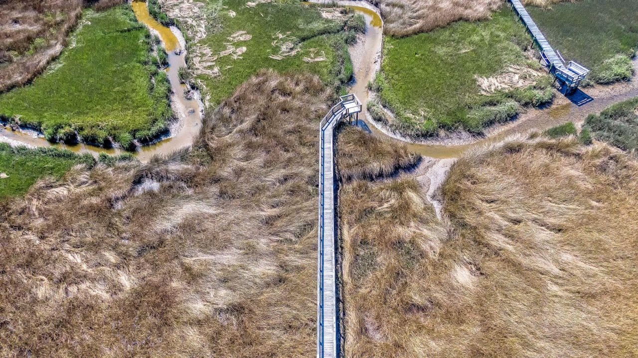 3786 Saint Ellens Drive Photo 25