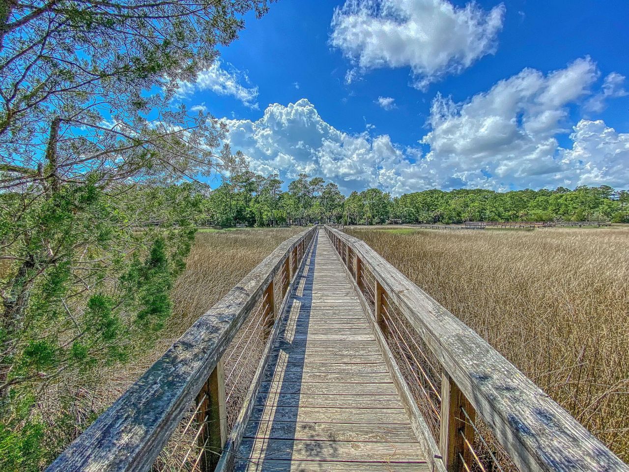 3786 Saint Ellens Drive Photo 29