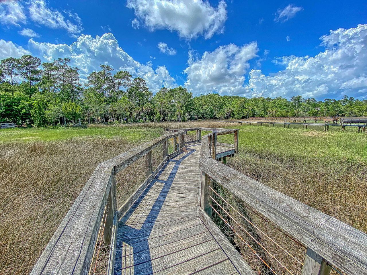 3786 Saint Ellens Drive Photo 30