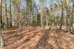 3786 Saint Ellens Drive photo 4