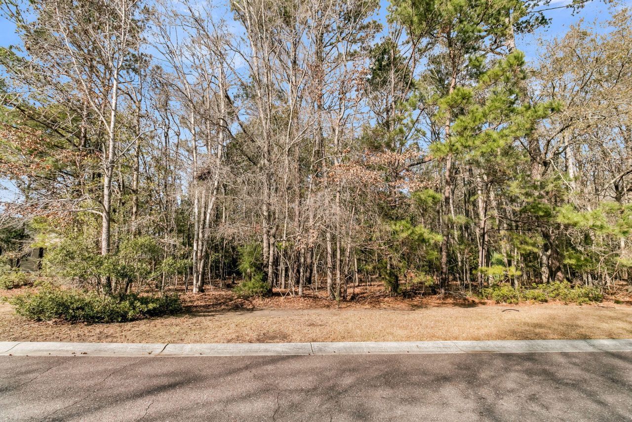 3786 Saint Ellens Drive Photo 7