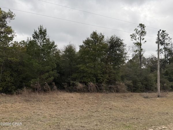 000 Russell Avenue , Alford, FL 32420