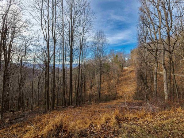 TBD HENSLEY HOLLOW, ELKTON, VA 22827