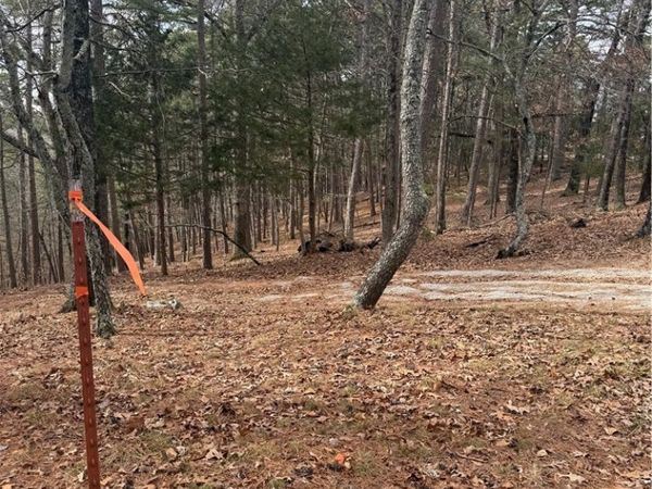 E Mountain Drive , Eureka Springs, AR 72632