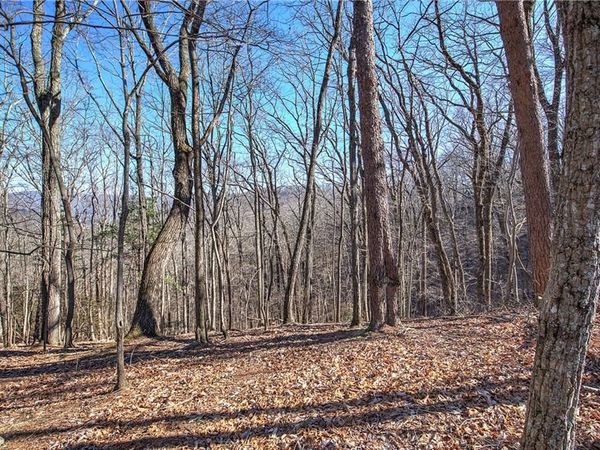 0 Walnut Mountain Road, Ellijay, GA 30536