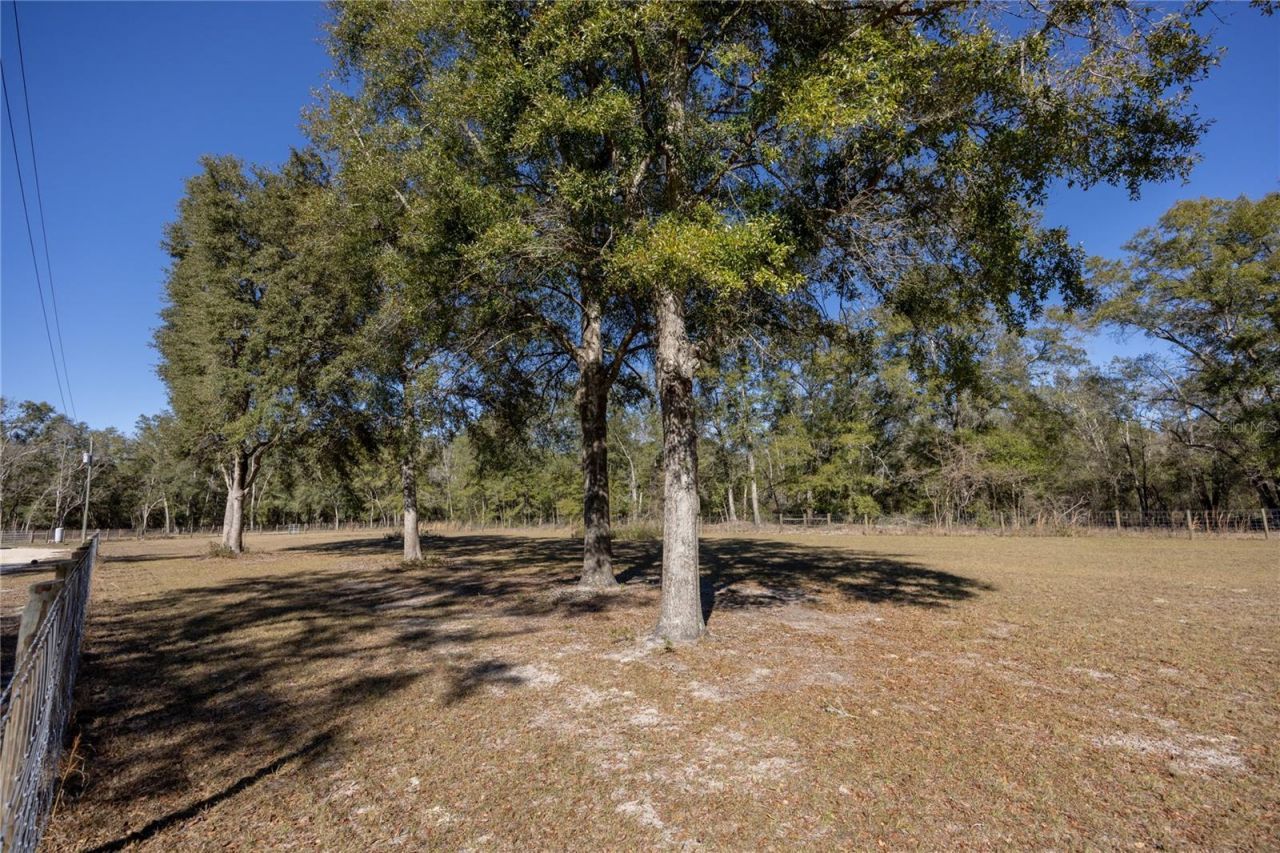 847 SW Applewood Glen, Fort White, FL 32038 Photo