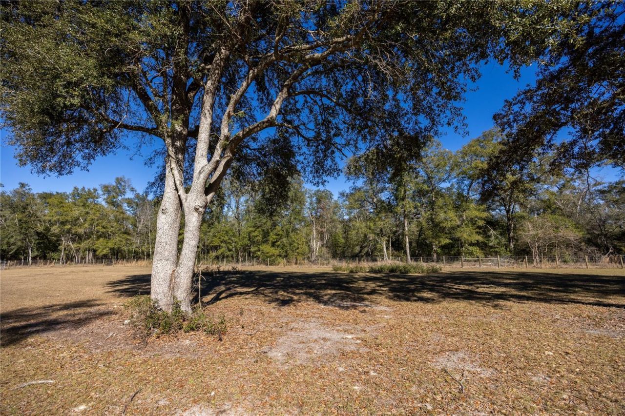 847 SW Applewood Glen, Fort White, FL 32038 Photo