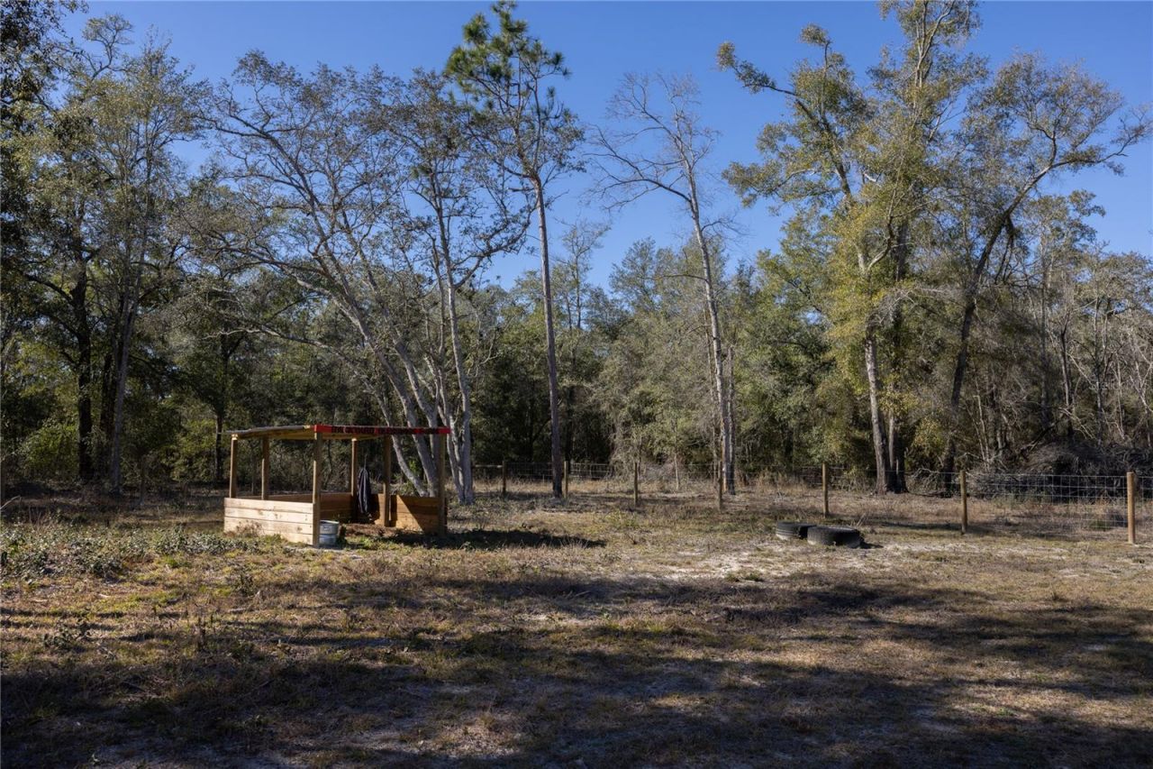 847 SW Applewood Glen, Fort White, FL 32038 Photo