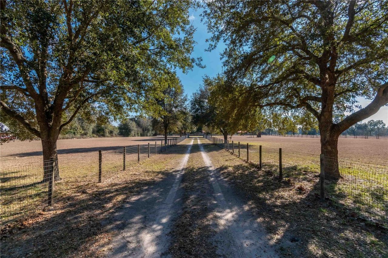 26707 NW 84th Place, High Springs, FL 32643 Photo