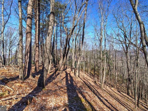 0 Walnut Mountain Road, Ellijay, GA 30536