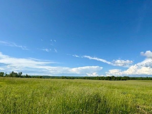 1 Topsy Rd, Waynesboro, TN 38485