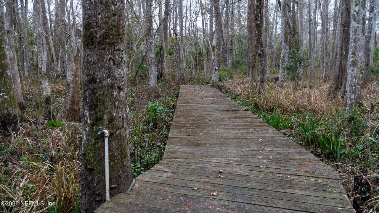 155 Fran Lane, Satsuma, FL 32189 Photo