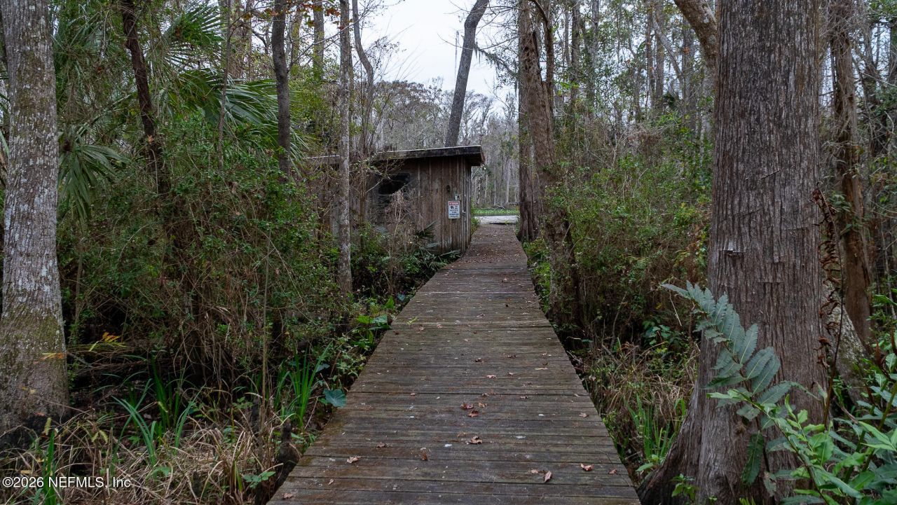 155 Fran Lane, Satsuma, FL 32189 Photo