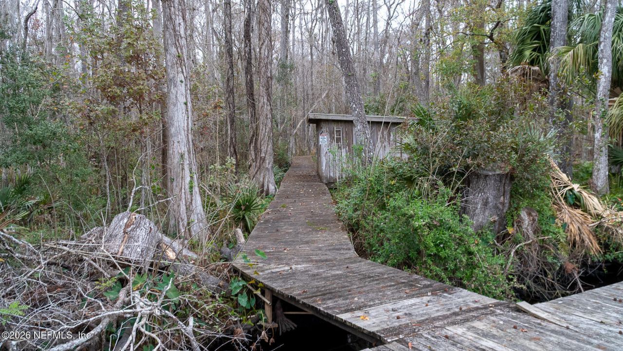 155 Fran Lane, Satsuma, FL 32189 Photo