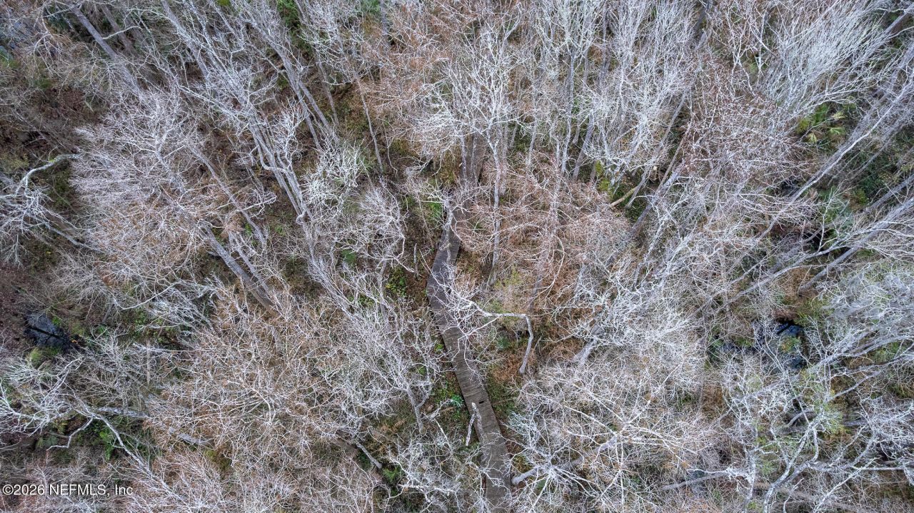 155 Fran Lane, Satsuma, FL 32189 Photo