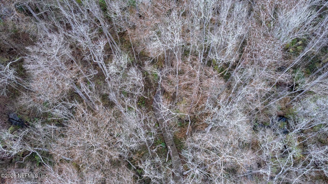 155 Fran Lane, Satsuma, FL 32189 Photo