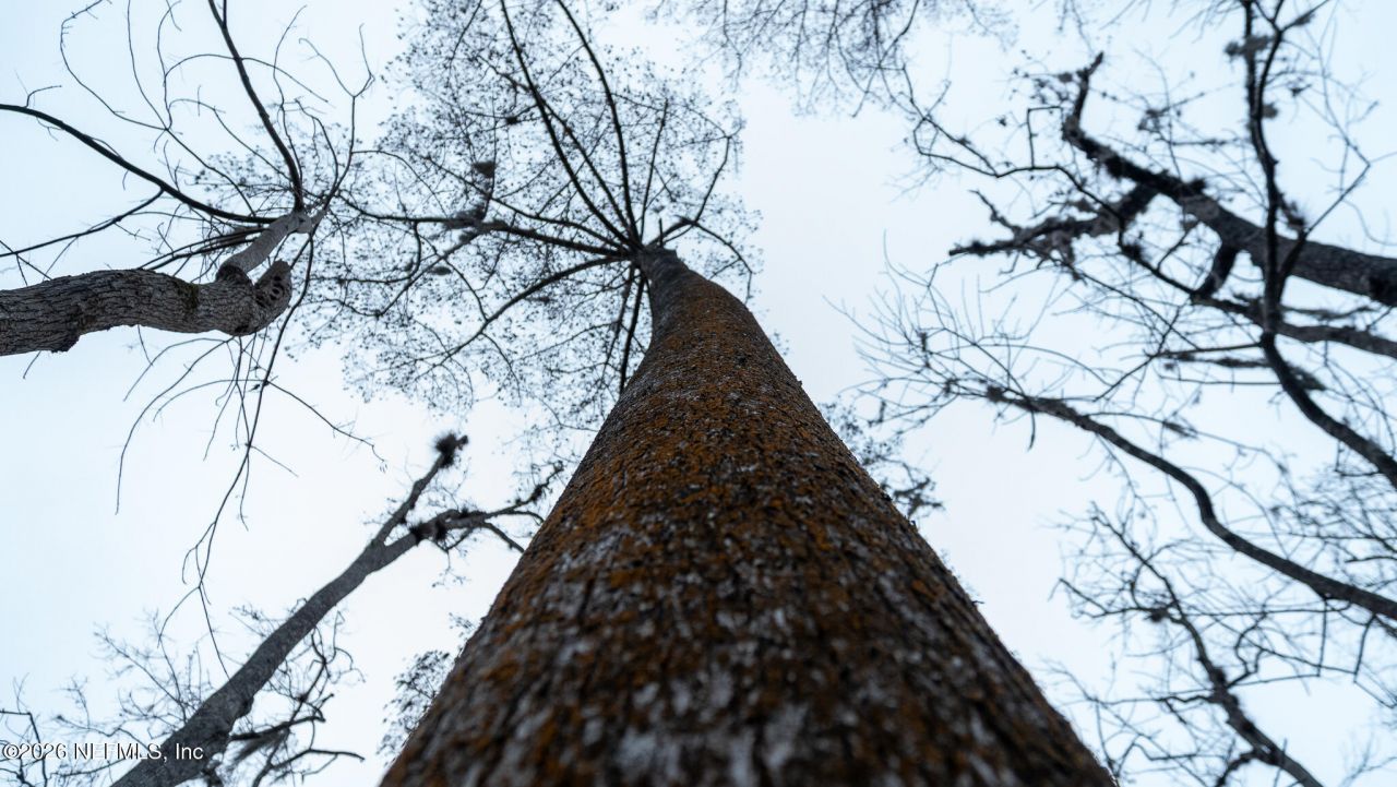 155 Fran Lane, Satsuma, FL 32189 Photo