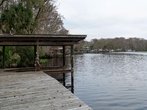 155 FRAN LANE, SATSUMA, FL 32189