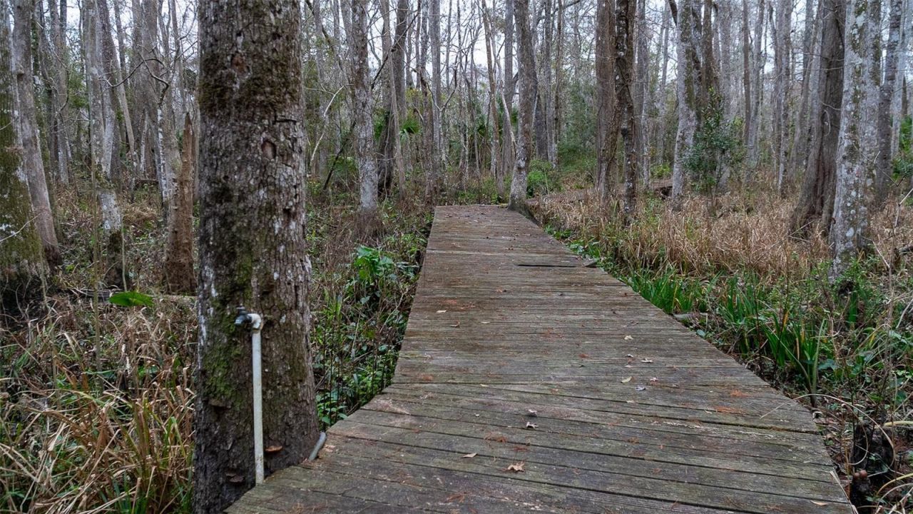 155 Fran Lane, Satsuma, FL 32189 Photo