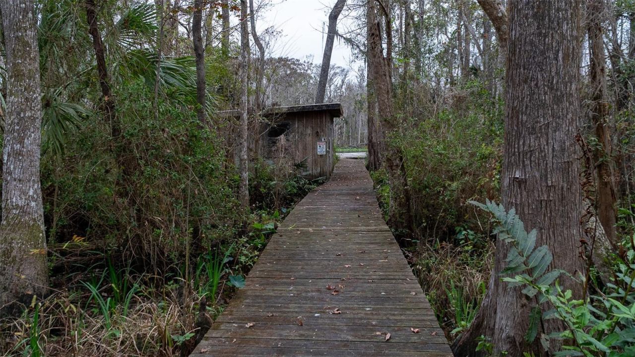 155 Fran Lane, Satsuma, FL 32189 Photo